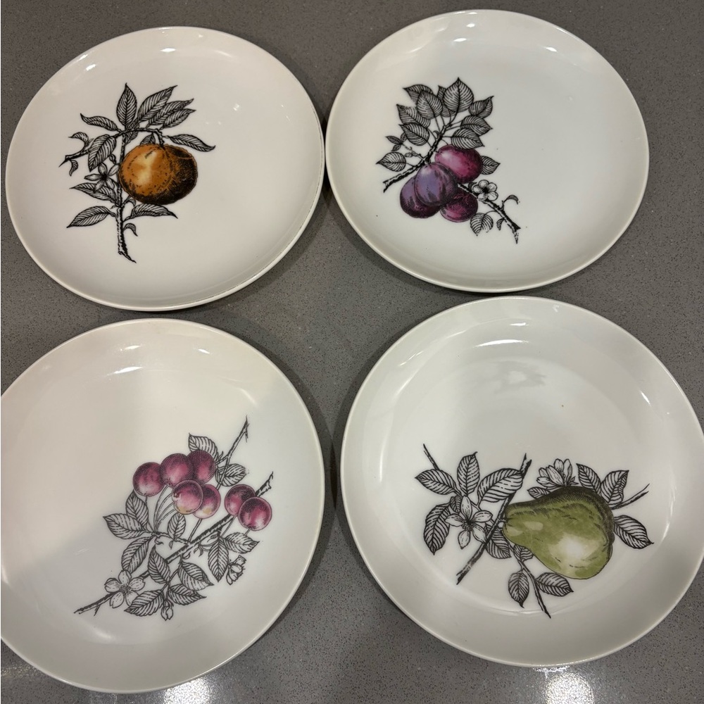 Fruit Design Ceramic 4  Plate Set